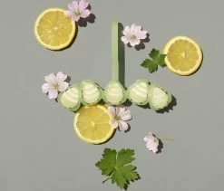 Marcel's Green Soap Toiletblok Geranium & Citroen - 55 Gram 11 Marcel's Green Soap Toiletblok Geranium & Citroen - 55 Gram -Schoonmaakproducten Winkel 1200x1023