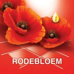 Ajax® Ajax Allesreiniger Fete De Fleur Rode Bloemen 1 Liter -Schoonmaakproducten Winkel 1200x1200 1259
