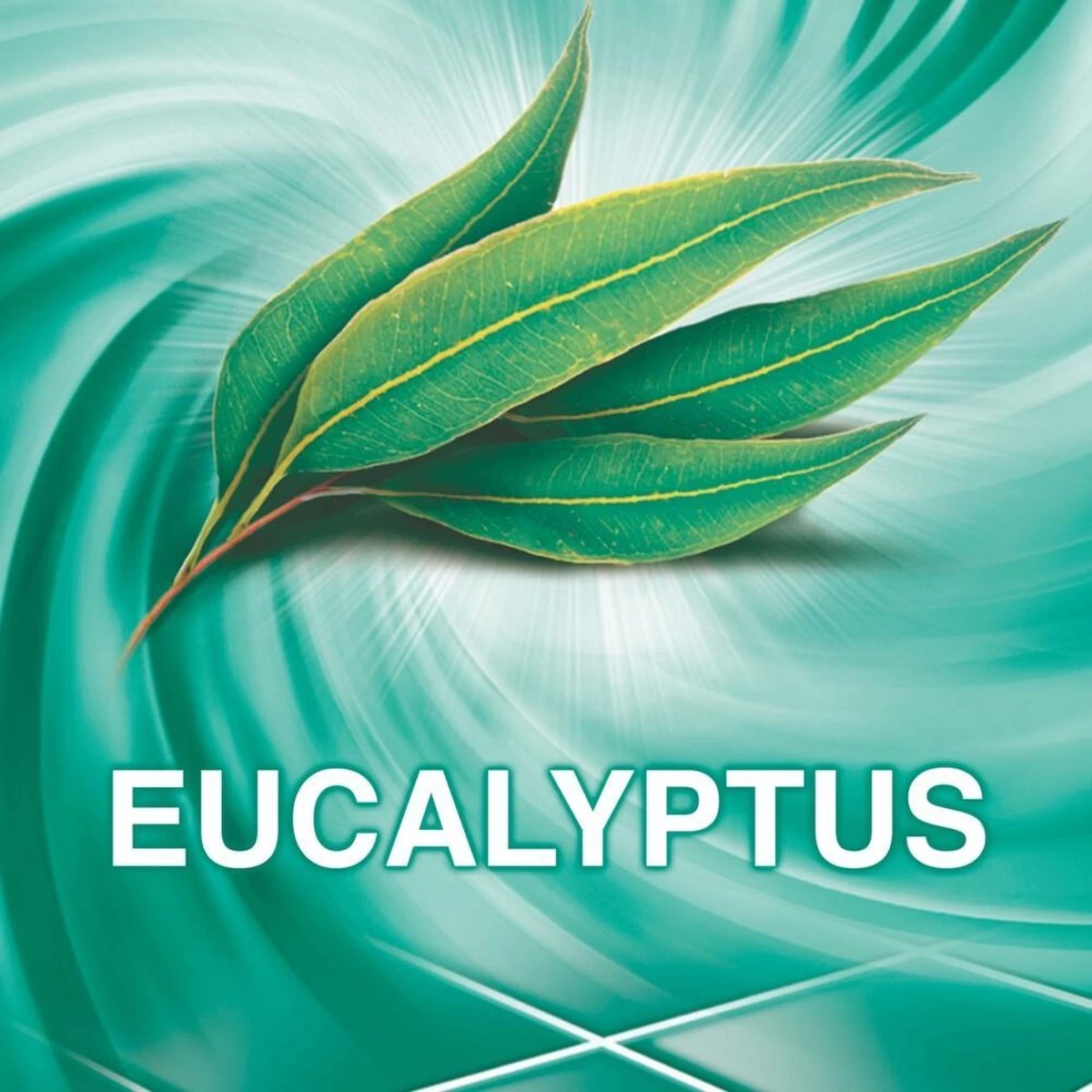 Ajax® Ajax Allesreiniger Eucalyptus 5 Ajax® Ajax Allesreiniger Eucalyptus - Afbeelding 3