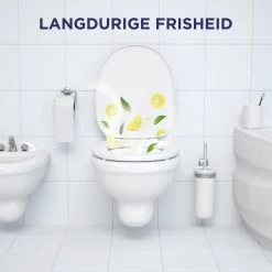 Glorix Power 5 Toiletblokken - Citroen - 9 Stuks - Voordeelverpakking -Schoonmaakproducten Winkel 1200x1200 1447