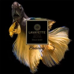 Lavayette Premium Wasparfum - Proefpakket 9x25ml - Geurbooster -Schoonmaakproducten Winkel 1200x1200 363
