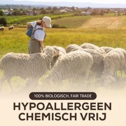 Drogerballen - Droogballen - Wasdrogerballen - Dryerballs - 6 Stuks - XL Formaat - Wol - Set 12 Drogerballen - Droogballen - Wasdrogerballen - Dryerballs - 6 Stuks - XL Formaat - Wol - Set -Schoonmaakproducten Winkel 1200x1200 521