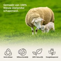 Droger Ballen Wol - Wasdroger Herbruikbare Wollen Droger Ballen - Droogballen Voor Snellere Droogtijd- Set 6 Stuks - Swilix 10 Droger Ballen Wol - Wasdroger Herbruikbare Wollen Droger Ballen - Droogballen Voor Snellere Droogtijd- Set 6 Stuks - Swilix -Schoonmaakproducten Winkel 1200x1200 542