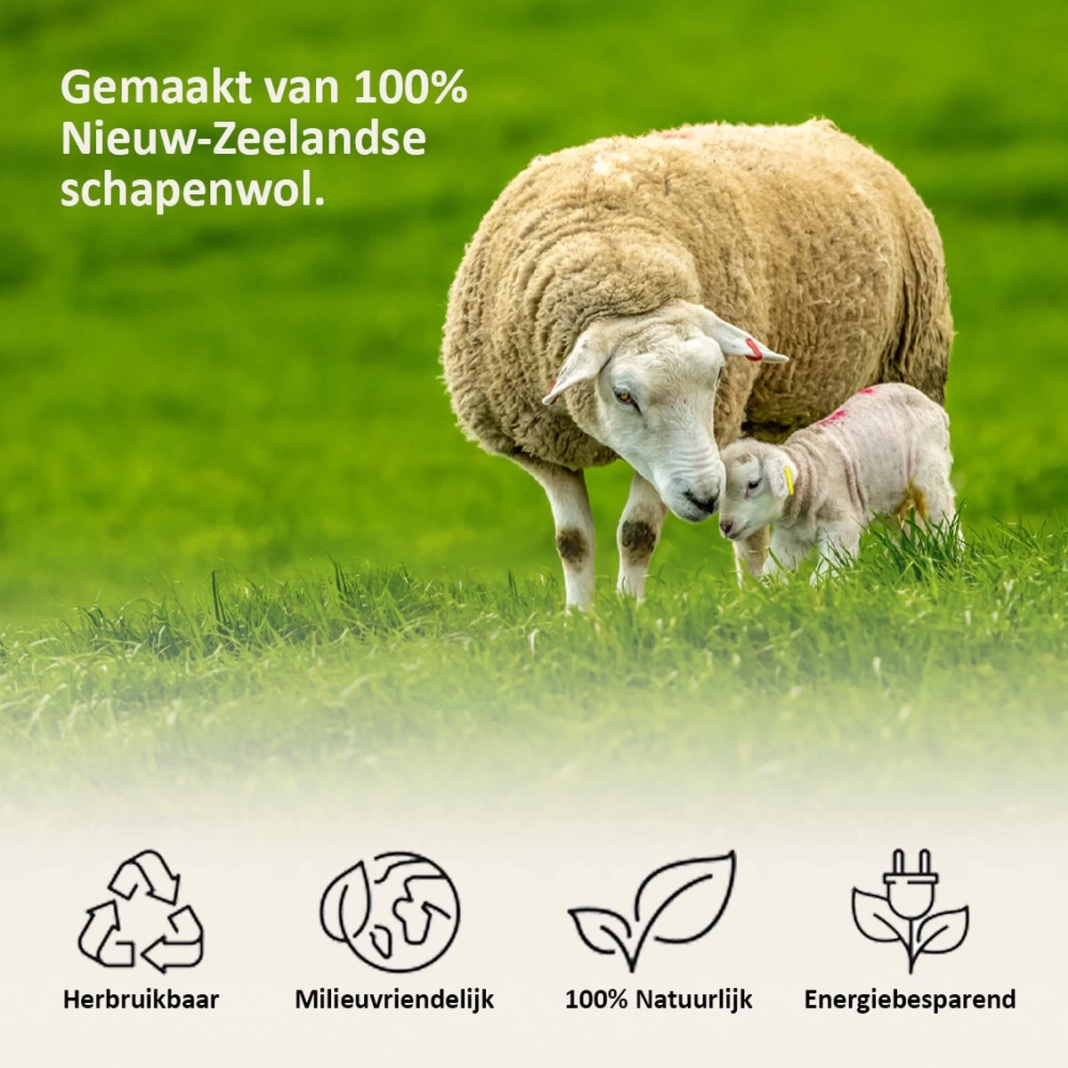 Droger Ballen Wol - Wasdroger Herbruikbare Wollen Droger Ballen - Droogballen Voor Snellere Droogtijd- Set 6 Stuks - Swilix 4 Droger Ballen Wol - Wasdroger Herbruikbare Wollen Droger Ballen - Droogballen Voor Snellere Droogtijd- Set 6 Stuks - Swilix - Afbeelding 2