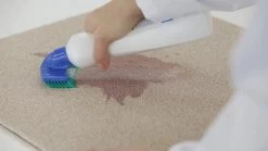 Dr. Beckmann Tapijtvlekkenborstel - Tapijtreiniging - Tapijt Vlekverwijderaar Met Borstel - Schoon Tapijt - Dierenvlekkenverwijderaar -Schoonmaakproducten Winkel 1200x674