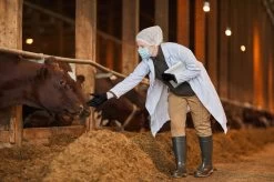 ANSELL MICROFLEX® 93-732 - Nitril Wegwerp Handschoenen, Latexvrij, Poedervrij, S, Zwart, 100 Stuks (0.7-0.11mm) -Schoonmaakproducten Winkel 1200x799 24