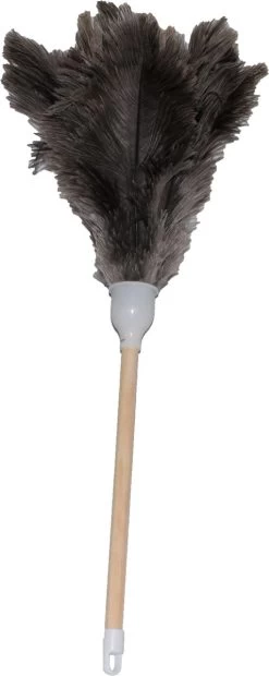 Plumeau Struisvogelveren - Lengte 50cm -Schoonmaakproducten Winkel 478x1200 6