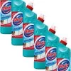 Glorix Extended Power Eucalyptus Bleek Javel 6x750ML -Schoonmaakproducten Winkel 750x1200 4