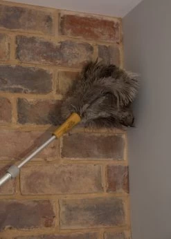 Plumeau Met Struisvogelveren, Bruin - KitchenCraft | Living Nostalgia -Schoonmaakproducten Winkel 856x1200 3